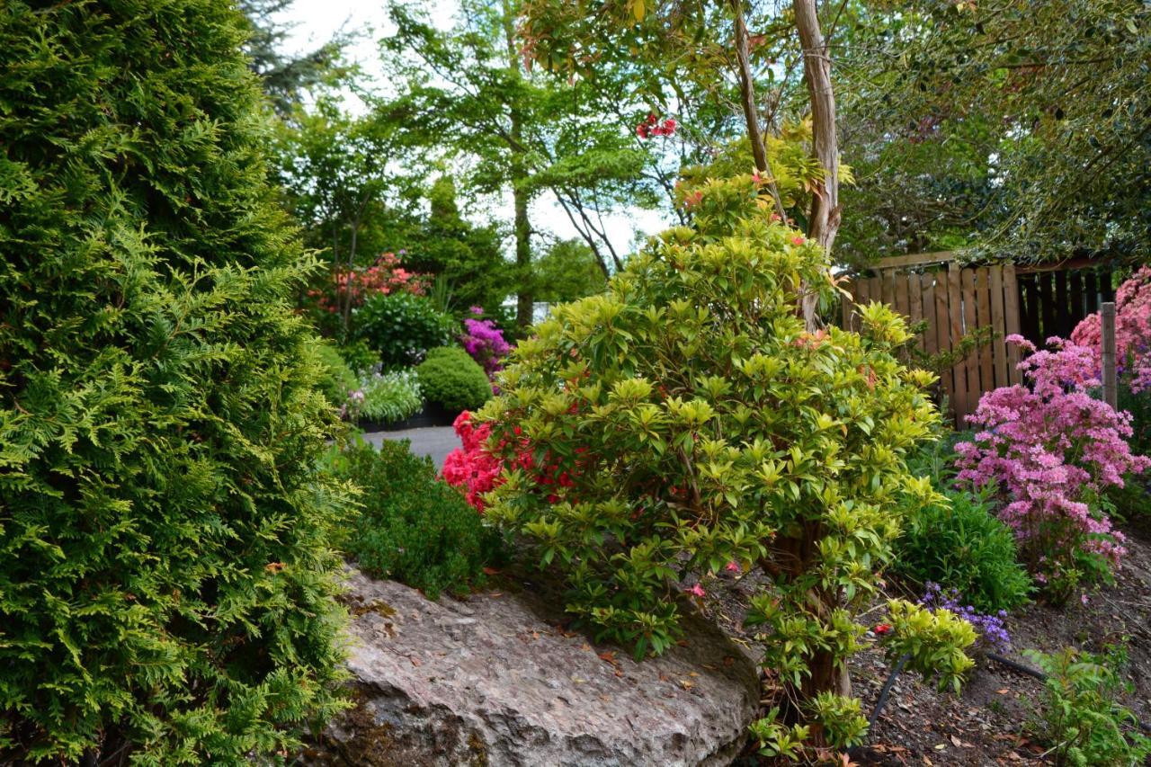 The Grove Lodge Guesthouse Killorglin Exteriér fotografie