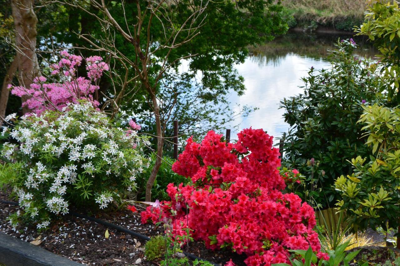 The Grove Lodge Guesthouse Killorglin Exteriér fotografie