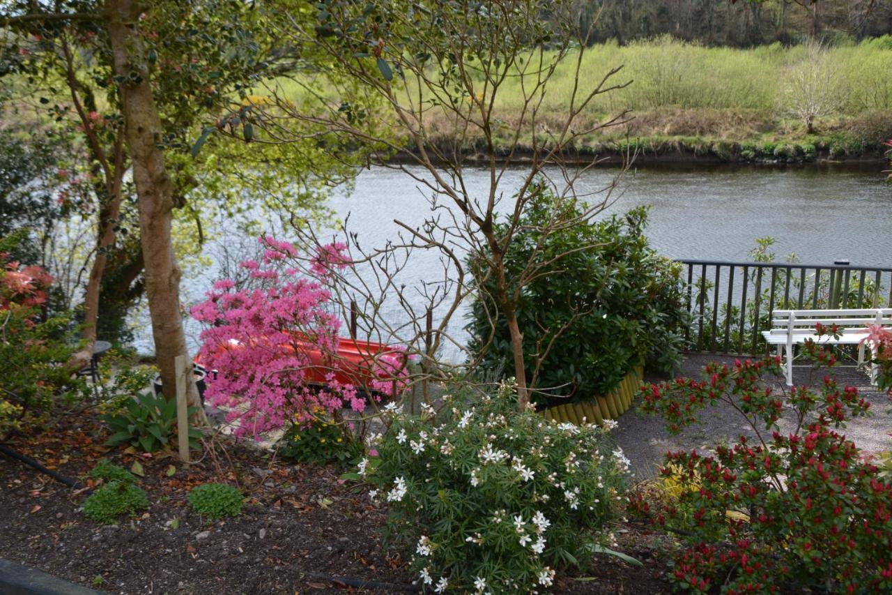The Grove Lodge Guesthouse Killorglin Exteriér fotografie