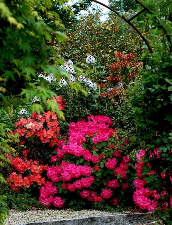 The Grove Lodge Guesthouse Killorglin Exteriér fotografie