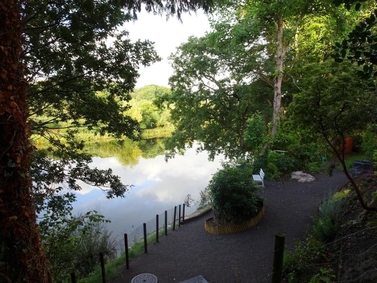 The Grove Lodge Guesthouse Killorglin Exteriér fotografie