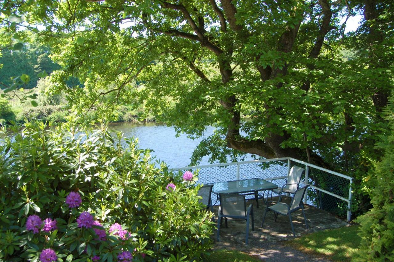 The Grove Lodge Guesthouse Killorglin Exteriér fotografie