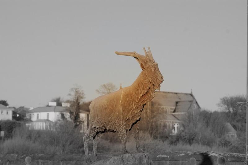 The Grove Lodge Guesthouse Killorglin Exteriér fotografie
